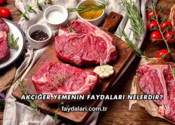 Akciğer Yemenin Faydaları Nelerdir?