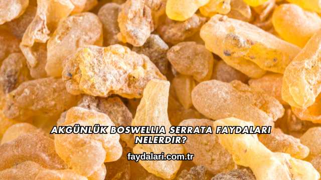Akgünlük Boswellia Serrata Faydaları Nelerdir?