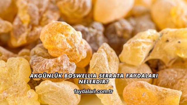 Akgünlük Boswellia Serrata Faydaları Nelerdir?