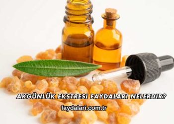 Akgünlük Ekstresi Faydaları Nelerdir?