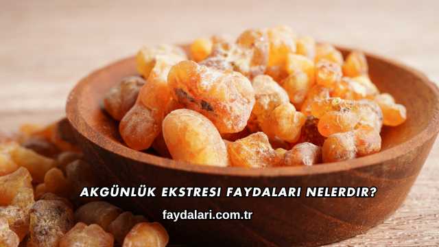 Akgünlük Ekstresi Faydaları Nelerdir?