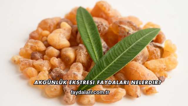 Akgünlük Ekstresi Faydaları Nelerdir?