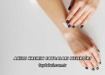Akıllı Kremin Faydaları Nelerdir?