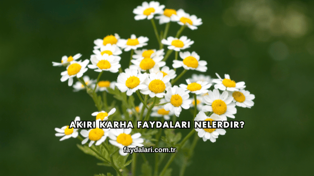 Akırı Karha Faydaları Nelerdir?