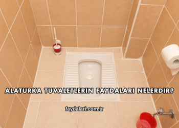 Alaturka Tuvaletlerin Faydaları Nelerdir?