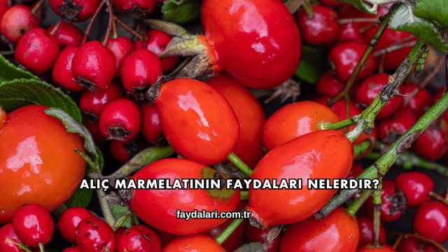 Alıç Marmelatının Faydaları Nelerdir?