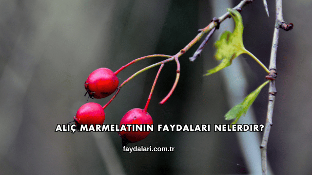 Alıç Marmelatının Faydaları Nelerdir?