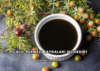 Alıç Pekmezi Faydaları Nelerdir?