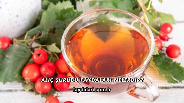 Alıç Şurubu Faydaları Nelerdir?
