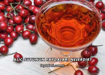 Alıç Suyunun Faydaları Nelerdir?
