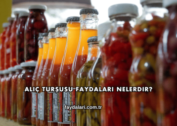 Alıç Turşusu Faydaları Nelerdir?