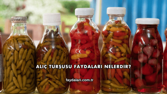 Alıç Turşusu Faydaları Nelerdir?