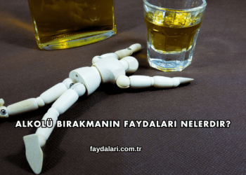 Alkolü Bırakmanın Faydaları Nelerdir?