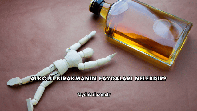 Alkolü Bırakmanın Faydaları Nelerdir?