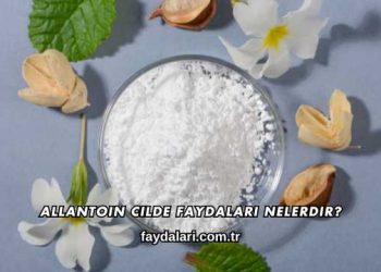 Allantoin Cilde Faydaları Nelerdir?