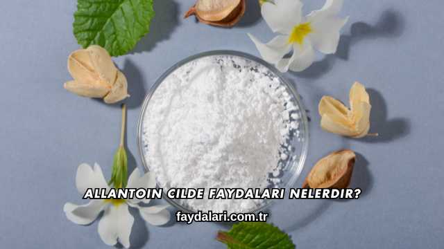 Allantoin Cilde Faydaları Nelerdir?
