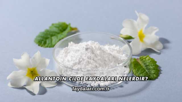 Allantoin Cilde Faydaları Nelerdir?