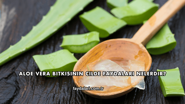 Aloe Vera Bitkisinin Cilde Faydaları Nelerdir?