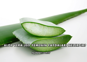 Aloe Vera Jeli Yemenin Faydaları Nelerdir?