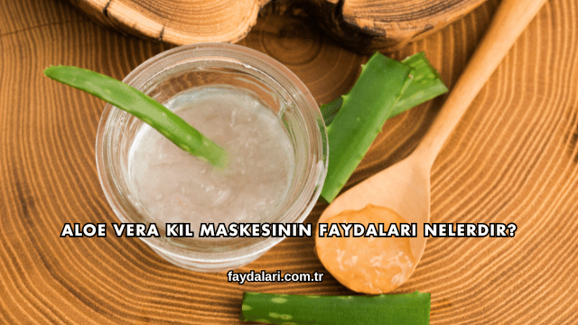 Aloe Vera Kil Maskesinin Faydaları Nelerdir?