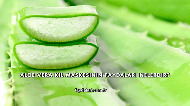 Aloe Vera Kil Maskesinin Faydaları Nelerdir?