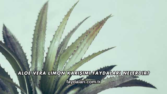 Aloe Vera Limon Karışımı Faydaları Nelerdir?