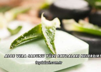 Aloe Vera Sabunu Yüze Faydaları Nelerdir?