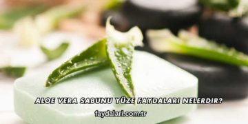 Aloe Vera Sabunu Yüze Faydaları Nelerdir?