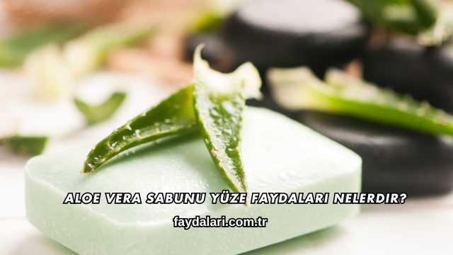 Aloe Vera Sabunu Yüze Faydaları Nelerdir?