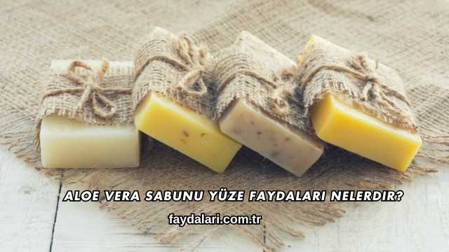 Aloe Vera Sabunu Yüze Faydaları Nelerdir?