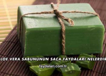 Aloe Vera Sabununun Saça Faydaları Nelerdir?