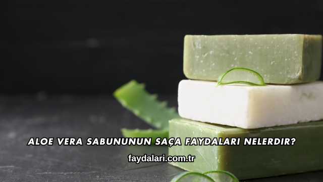 Aloe Vera Sabununun Saça Faydaları Nelerdir?
