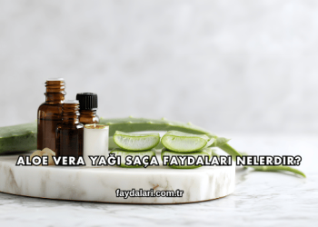 Aloe Vera Yağı Saça Faydaları Nelerdir?