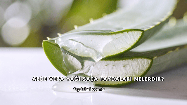 Aloe Vera Yağı Saça Faydaları Nelerdir?