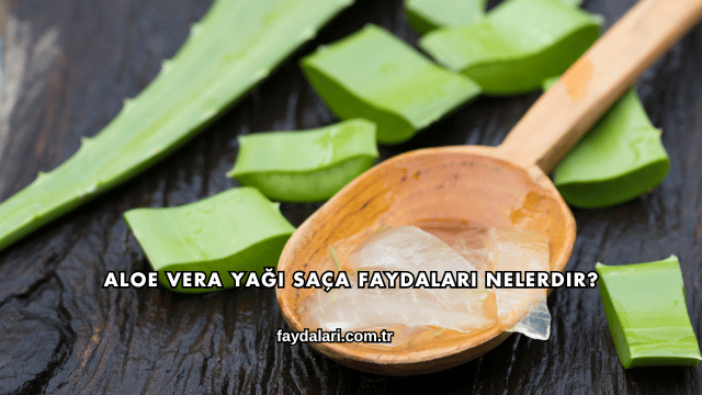 Aloe Vera Yağı Saça Faydaları Nelerdir?