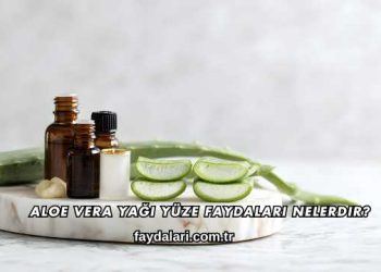 Aloe Vera Yağı Yüze Faydaları Nelerdir?