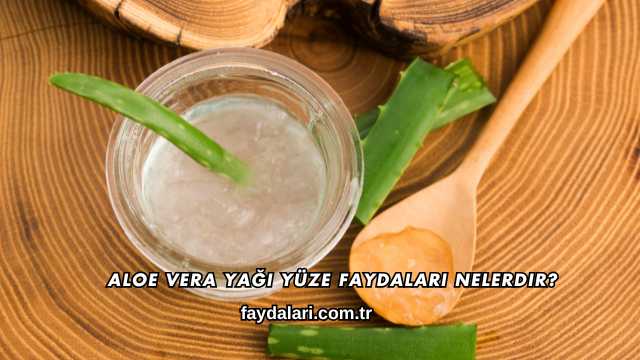 Aloe Vera Yağı Yüze Faydaları Nelerdir?