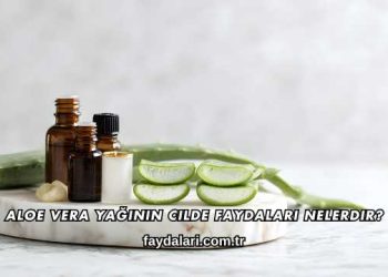 Aloe Vera Yağının Cilde Faydaları Nelerdir?