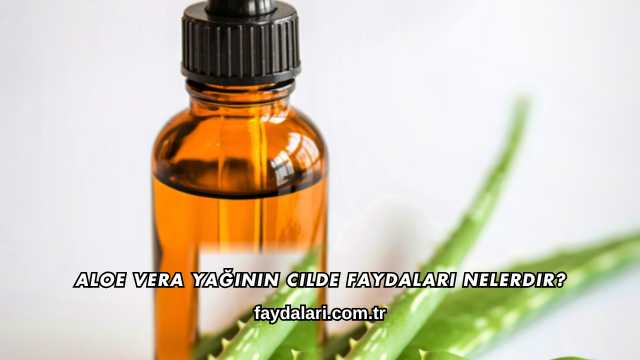 Aloe Vera Yağının Cilde Faydaları Nelerdir?