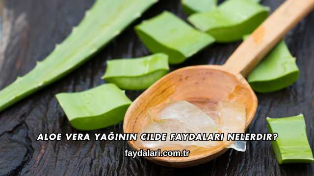 Aloe Vera Yağının Cilde Faydaları Nelerdir?