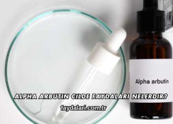 Alpha Arbutin Cilde Faydaları Nelerdir?