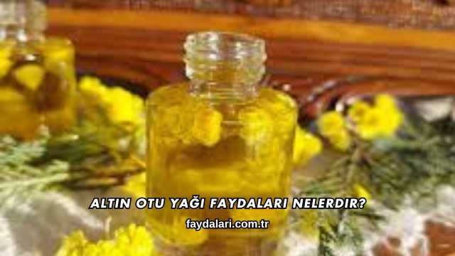 Altın Otu Yağı Faydaları Nelerdir?