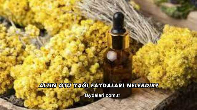Altın Otu Yağı Faydaları Nelerdir?