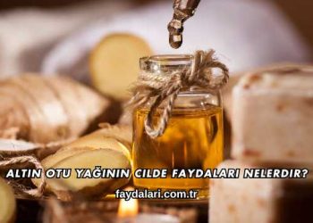 Altın Otu Yağının Cilde Faydaları Nelerdir?