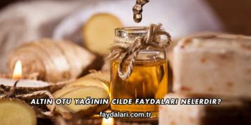 Altın Otu Yağının Cilde Faydaları Nelerdir?