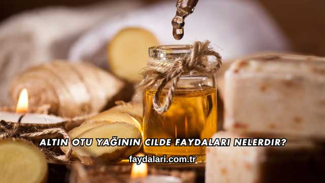 Altın Otu Yağının Cilde Faydaları Nelerdir?