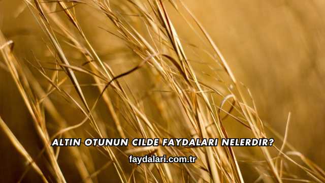 Altın Otunun Cilde Faydaları Nelerdir?