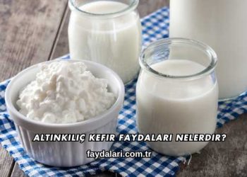 Altınkılıç Kefir Faydaları Nelerdir?