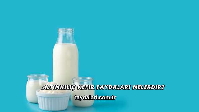 Altınkılıç Kefir Faydaları Nelerdir?