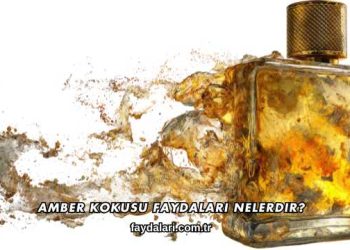 Amber Kokusu Faydaları Nelerdir?